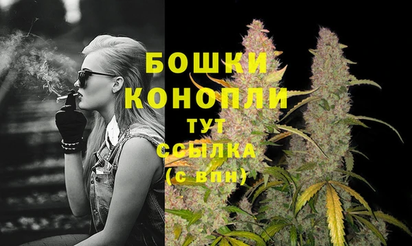 прущая мука Ельня
